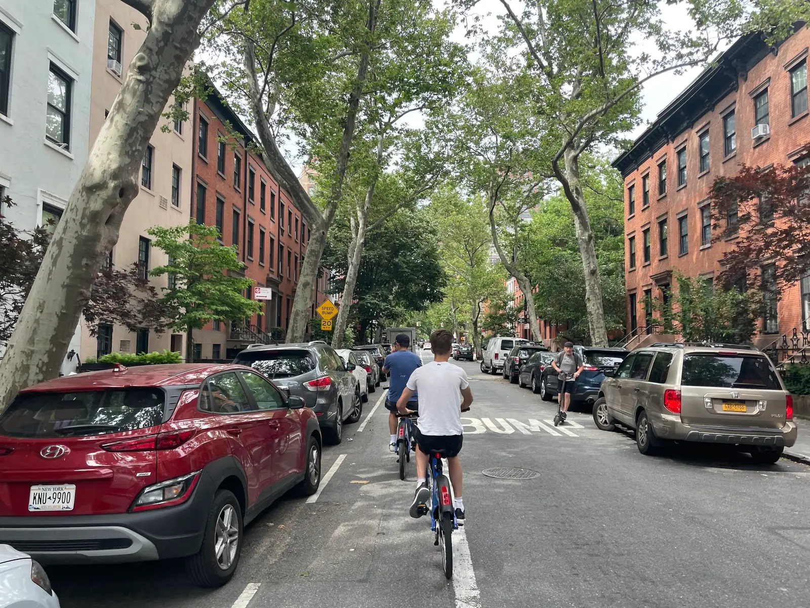 A Brooklyn dog walker out with a happy dog
