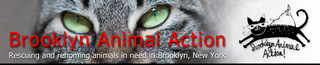 Brooklyn Animal Action