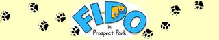 FIDO Brooklyn