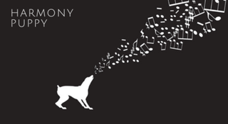 Harmony Puppy