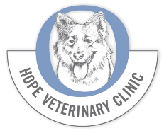 Hope for Animals