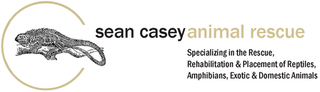 Sean Casey Animal Rescue